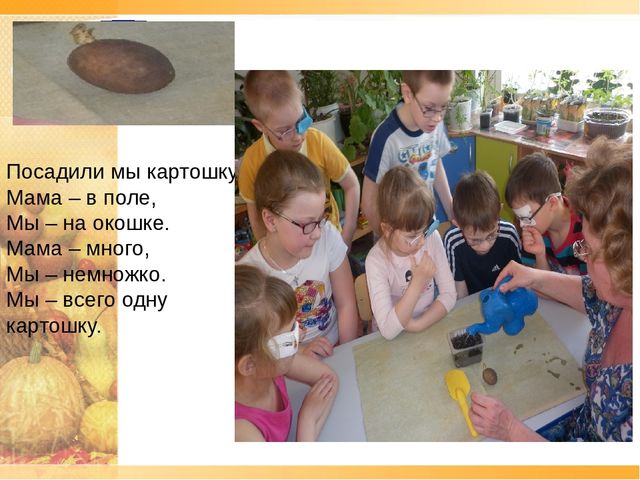 Презентация по ознакомлению с окружающим проект "Ах, картошечка,картошка"