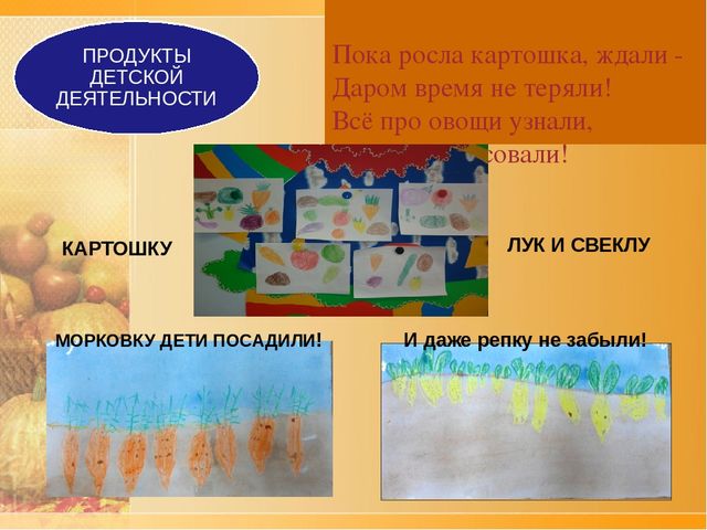 Презентация по ознакомлению с окружающим проект "Ах, картошечка,картошка"