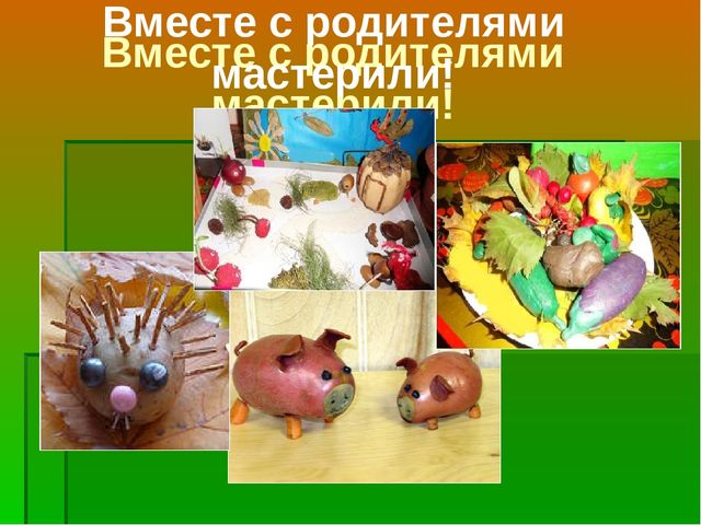 Презентация по ознакомлению с окружающим проект "Ах, картошечка,картошка"