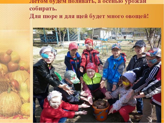 Презентация по ознакомлению с окружающим проект "Ах, картошечка,картошка"