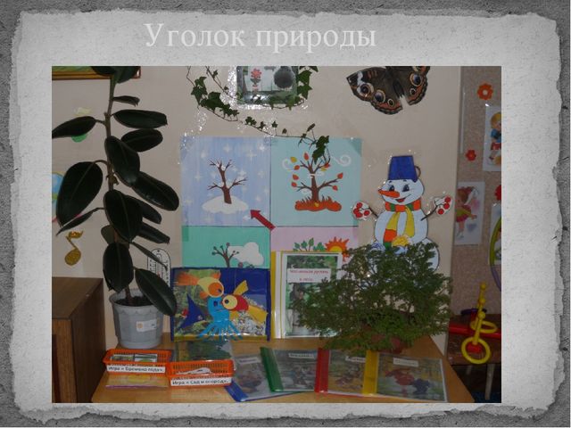 Презентация "Развивающая среда в моей группе"