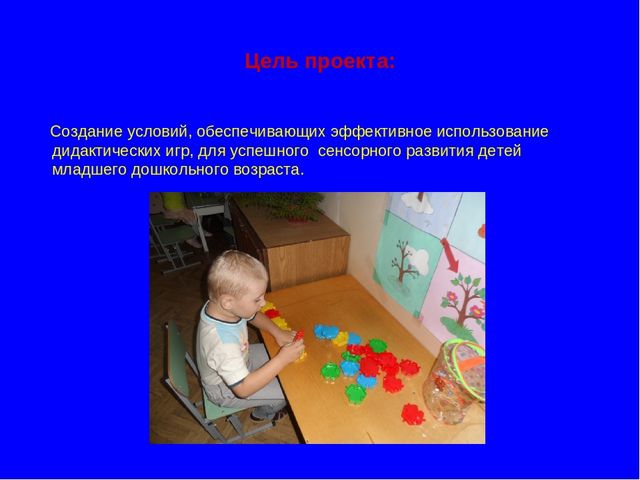 Презентация "Педагогический проект"Сенсорное воспитание посредством дидактических игр"