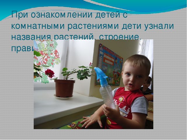 Презентация в ДОУ "Экспериментирование в дошкольном образовании"