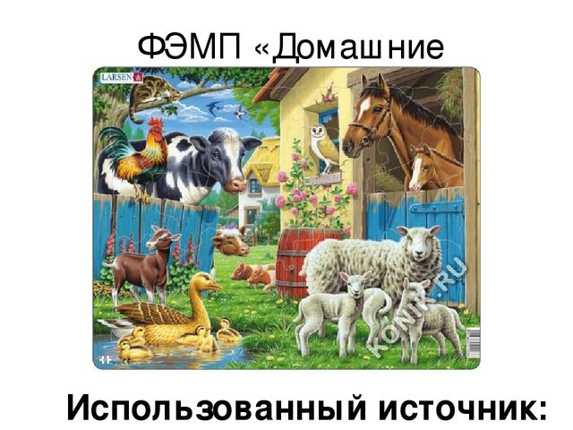 Презентация ННОД по ФЭМП в средней группе по теме "Домашние животные"