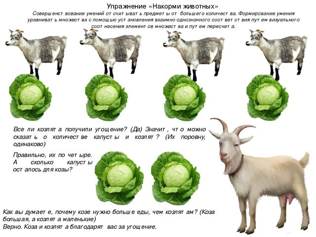 Презентация ННОД по ФЭМП в средней группе по теме "Домашние животные"