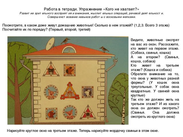 Презентация ННОД по ФЭМП в средней группе по теме "Домашние животные"