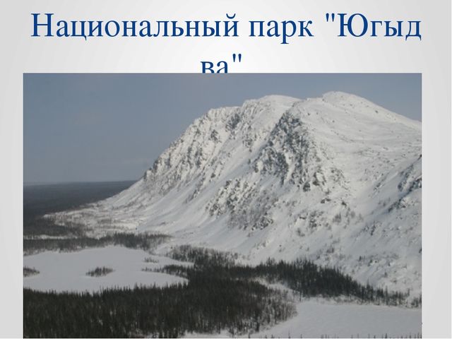 Презентация по ознакомлению с окружающим миром на тему "Национальный парк "Югыд Ва"