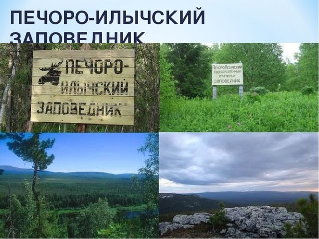 Презентация по ознакомлению с окружающим миром на тему "Печоро-Илычский заповедник"