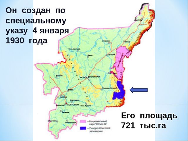 Презентация по ознакомлению с окружающим миром на тему "Печоро-Илычский заповедник"