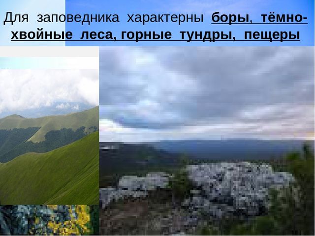 Презентация по ознакомлению с окружающим миром на тему "Печоро-Илычский заповедник"