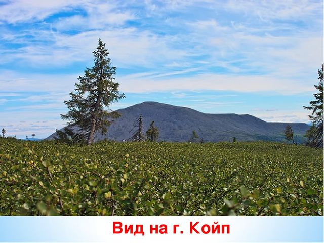 Презентация по ознакомлению с окружающим миром на тему "Печоро-Илычский заповедник"