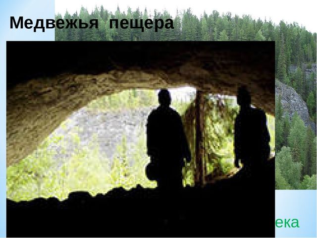 Презентация по ознакомлению с окружающим миром на тему "Печоро-Илычский заповедник"