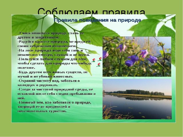 Презентация " Эколята- дошколята"