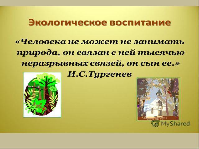 Презентация " Эколята- дошколята"
