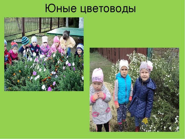Презентация " Эколята- дошколята"