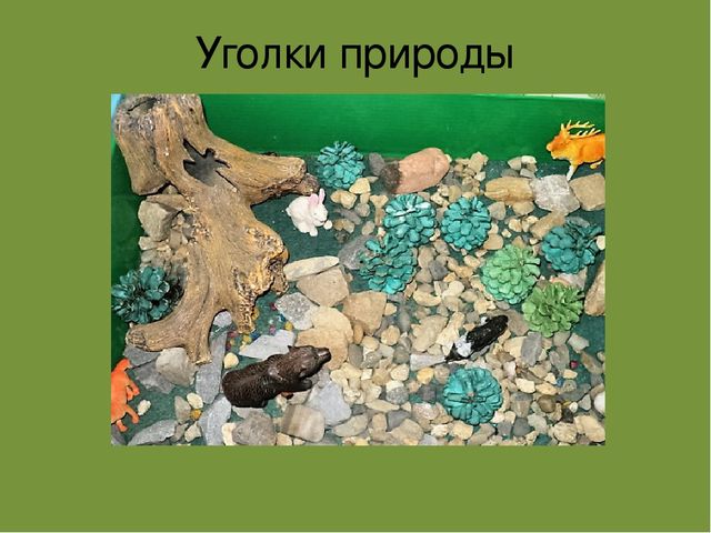Презентация " Эколята- дошколята"