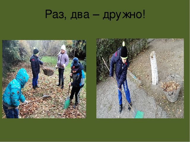 Презентация " Эколята- дошколята"