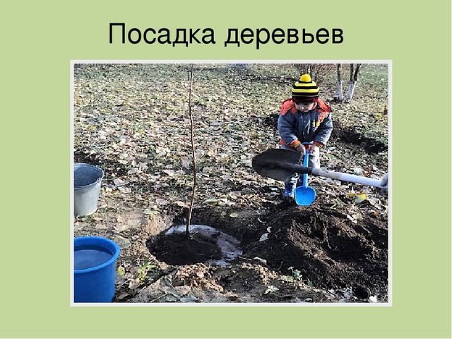 Презентация " Эколята- дошколята"