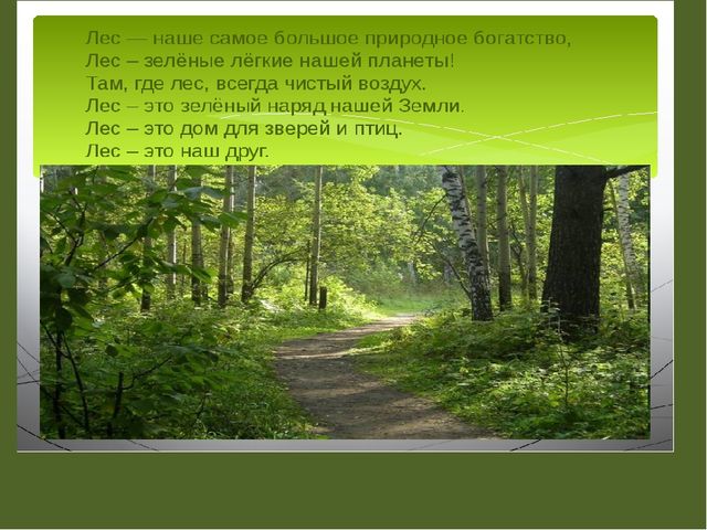 Презентация " Эколята- дошколята"