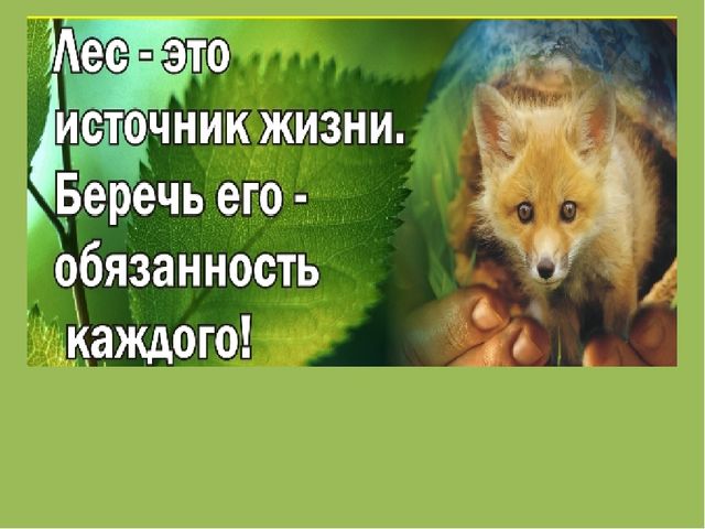 Презентация " Эколята- дошколята"