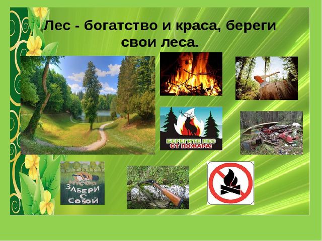 Презентация " Эколята- дошколята"