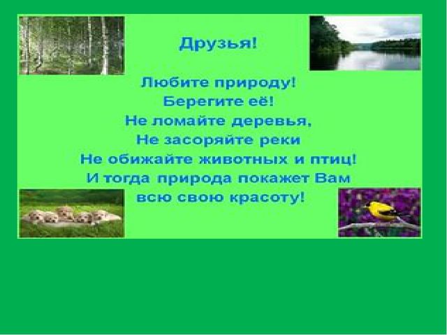 Презентация " Эколята- дошколята"