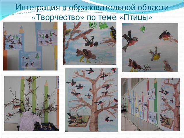 Презентация по лепке в старшей группе на тему: "Птицы Казахстана"