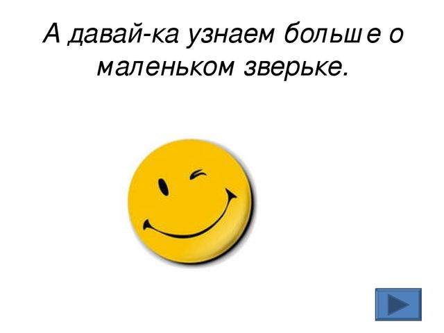 Презентация на тему " Найди зайчика"
