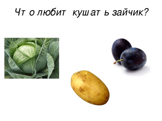 Презентация на тему " Найди зайчика"