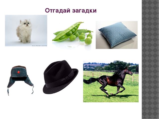Презентация на тему "Автоматизация звука [ш] в словах"