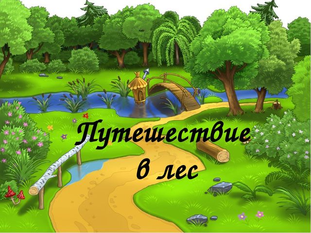 Презентация на тему: "Путешествие в лес"