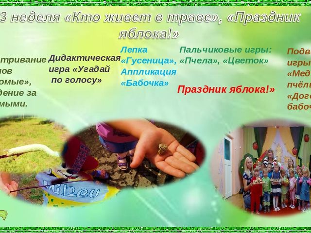 Презентация Летняя оздоровительная работа в детском саду Проект "Разноцветное лето"