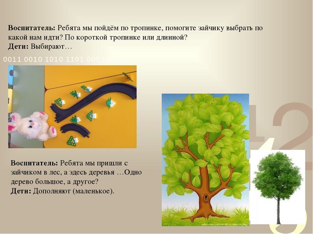Презентация: «Математика в окружающем мире»