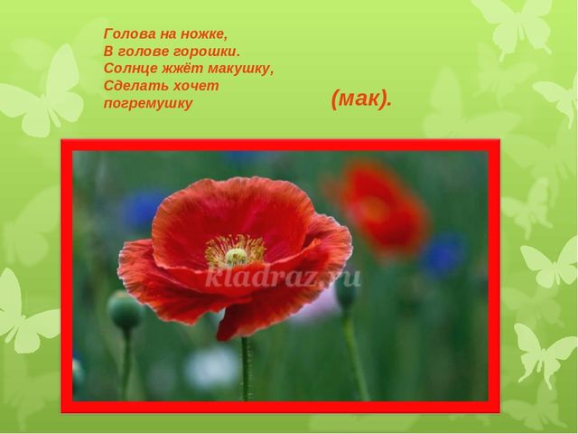 Презентация художественно - эстетического цикла Мастер - класс "Жостовские подносы"