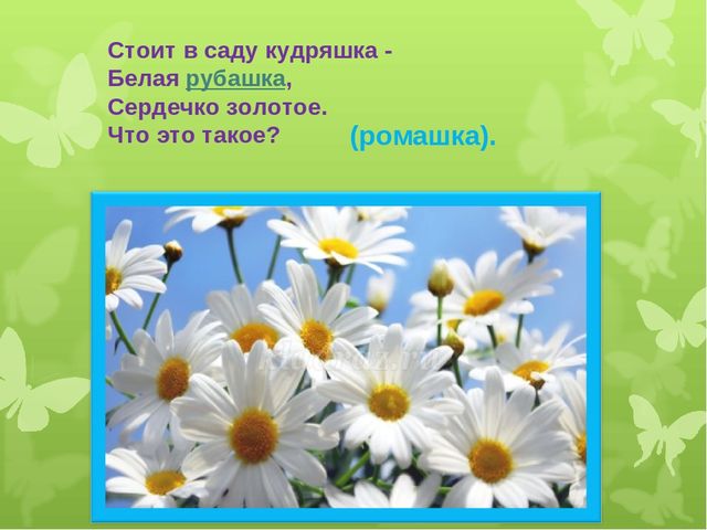 Презентация художественно - эстетического цикла Мастер - класс "Жостовские подносы"