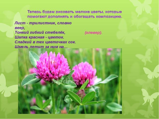Презентация художественно - эстетического цикла Мастер - класс "Жостовские подносы"