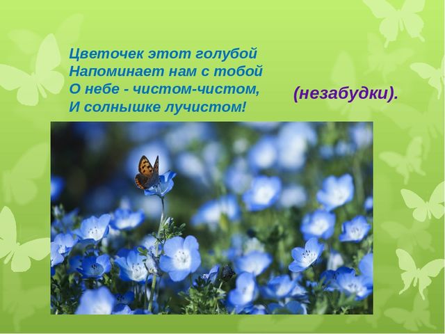 Презентация художественно - эстетического цикла Мастер - класс "Жостовские подносы"