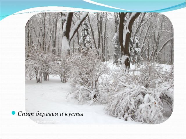 Презентация к занятию по окружающему миру "Как узнать зиму?"