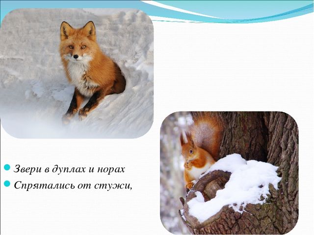 Презентация к занятию по окружающему миру "Как узнать зиму?"