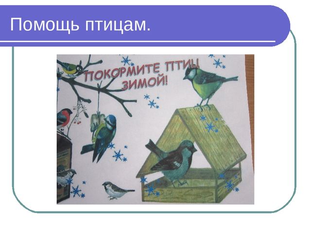 Презентация по окружающему миру на тему"Зимующие птицы"