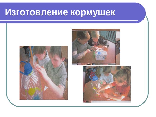 Презентация по окружающему миру на тему"Зимующие птицы"