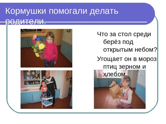 Презентация по окружающему миру на тему"Зимующие птицы"