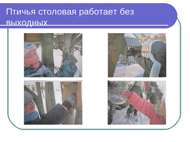Презентация по окружающему миру на тему"Зимующие птицы"