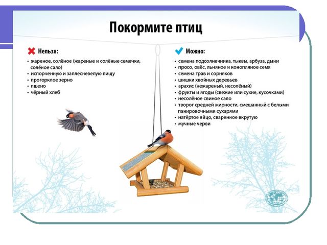 Презентация по окружающему миру на тему"Зимующие птицы"