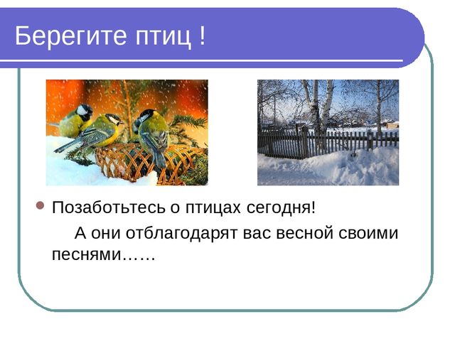 Презентация по окружающему миру на тему"Зимующие птицы"