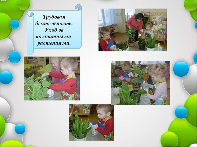 Презентация по образовательной области познание