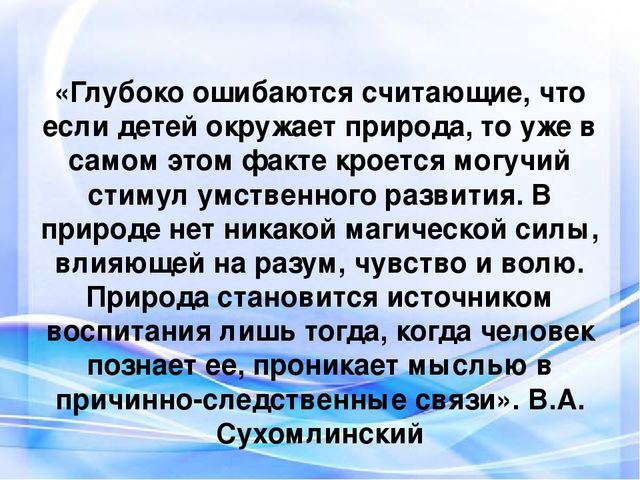 Проект на тему "Рукотворный мир"