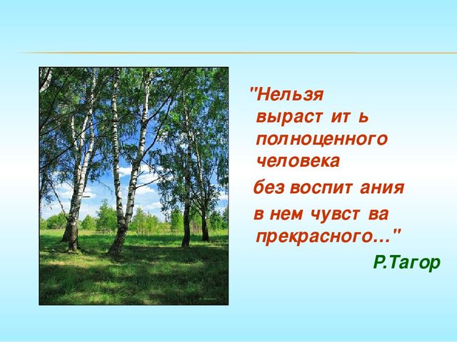 Презентация проекта "Воспитание патриотических чувств средствами народной музыки"