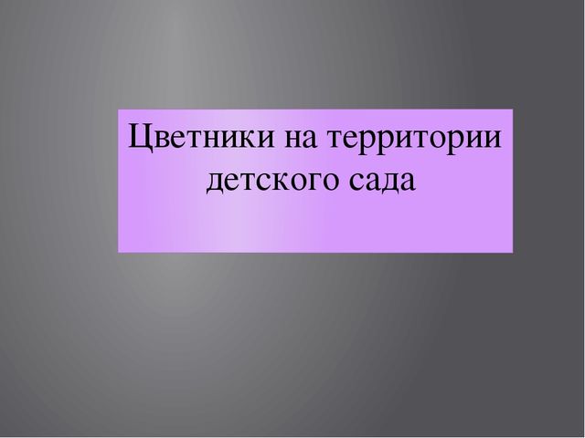 Цветники на территории детского сада