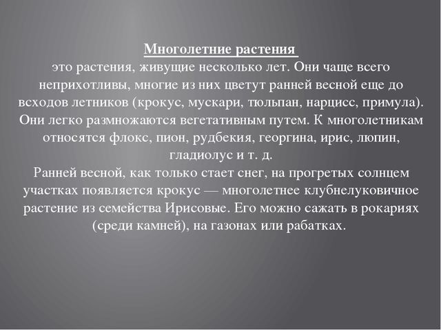 Цветники на территории детского сада